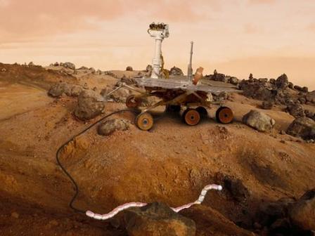 Снимка: sciencedaily.com