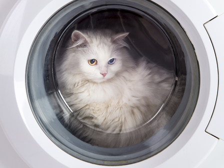 Снимка: iStock