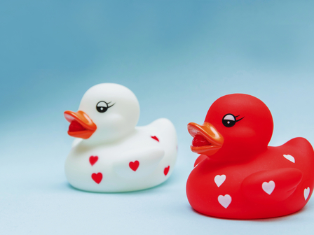 Снимка: iStock