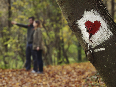 Снимка: iStock