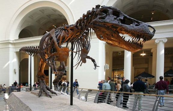 Скелет на динозавър се продава на търг