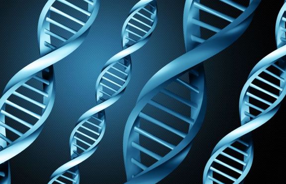 Компании предлагат ДНК тестове за брачна съвместимост 