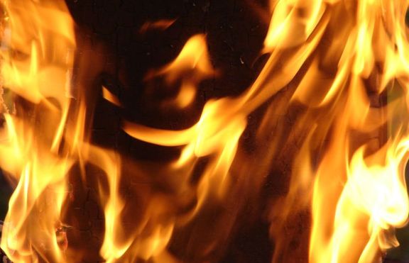 Австриец подпали къщата си в опит да убие мишка 