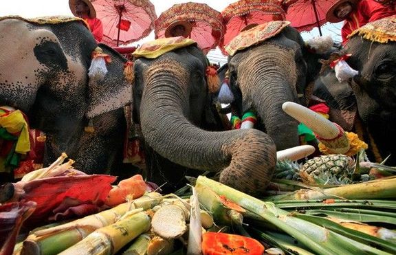 Отпразнуваха Деня на слона в Тайланд 