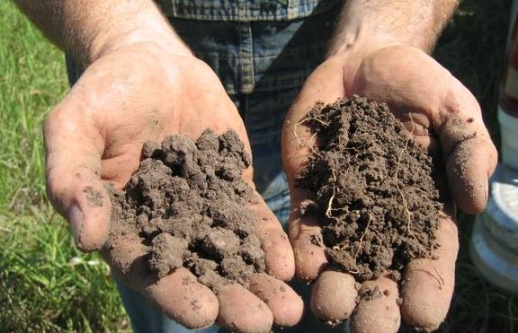 Почви, почвообразуващи фактори, видове почви, свойства.