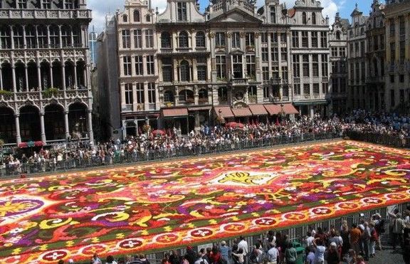 Подредиха красив килим от цветя в центъра на Брюксел