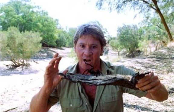 Стив Ъруин - ловецът на крокодили
