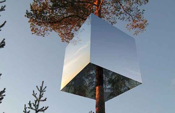 Уникален хотел построиха в Швеция - стаите са по клоните  на дърветата