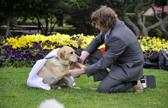 Млад австралиец се ожени за кучето си (+снимки)