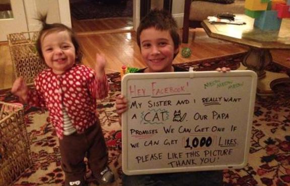 Деца събраха 100 хил. харесвания във Фейсбук и се сдобиха с коте