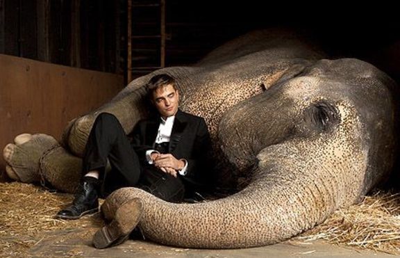 Слон е най-новият приятел на Робърт Патинсън 
