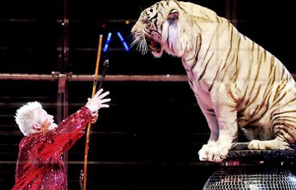 Майка на дете осъди цирк, защото нямало номер с лъвове и тигри 