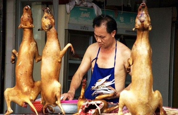 Фестивал на храната, приготвена от кучешко месо, се проведе в Китай