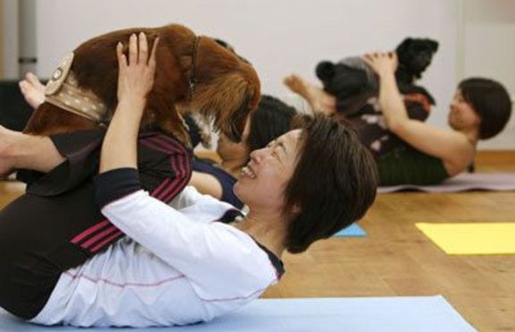 С кучето на йога - защо не? (+снимки)