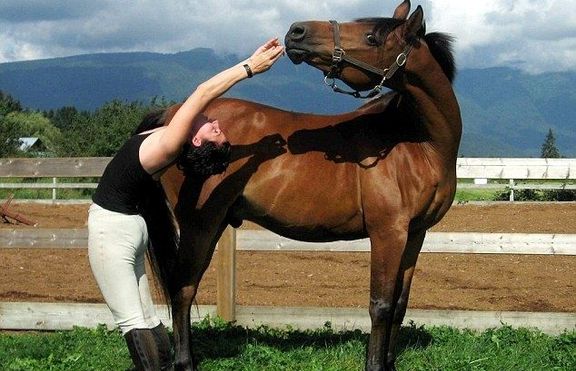 Канадка научи коня си на йога (+снимки)