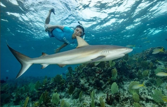Нина Добрев плува с акули