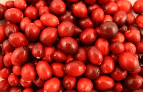 Червената боровинка - един от най-полезните плодове