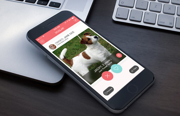 Създадоха българска апликация за срещи на домашни кучета
