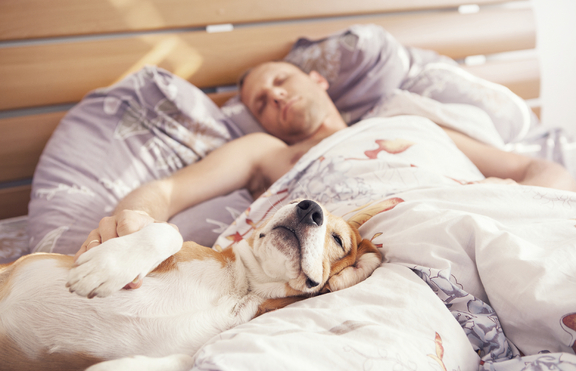 Няколко причини да НЕ спиш заедно с домашния си любимец 