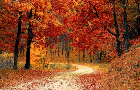 7 причини да се радвате на есента