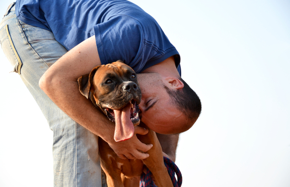 Как действа миризмата на стопаните на техните кучета?