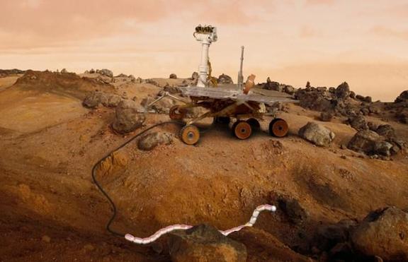 Ще успеем да колонизираме Марс единствено с помощта на пълзящи роботи 