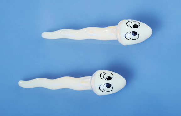 Любопитни факти за сперматозоидите 