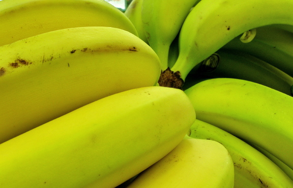 Ще изчезнат ли бананите ?