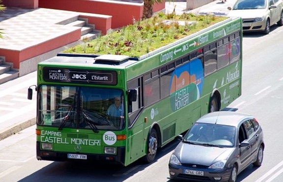 Еко автобус с градина на покрива се използва като градски транспорт (+ снимки)