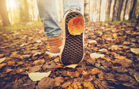 Няколко места за приятни есенни разходки близо до София