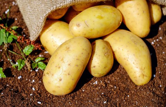 Отслабнете с ядене на картофи