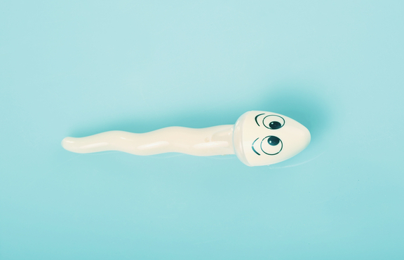 Любопитни факти, които не знаеш за сперматозоидите