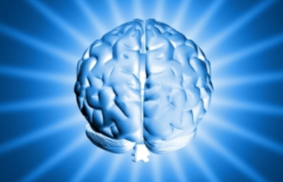 Коя половина от мозъка ви е по-силно развита според това как мислите?